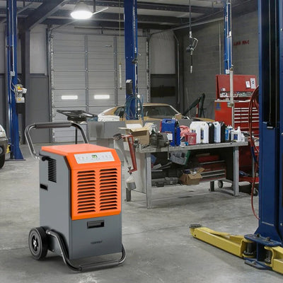 Should You Invest in a Portable Commercial Dehumidifier?